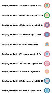 Legend explaining the gender, age and employment-rate encoding